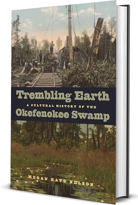 Lexington book cover