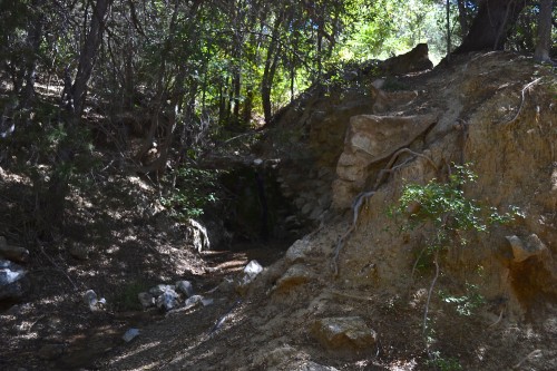 Apache Spring, a rare cool and dark place in the deserts of southern Arizona.