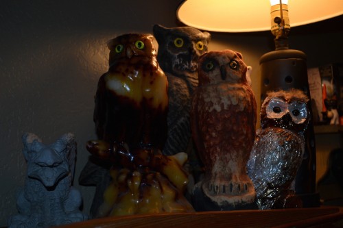 I used to like owls.