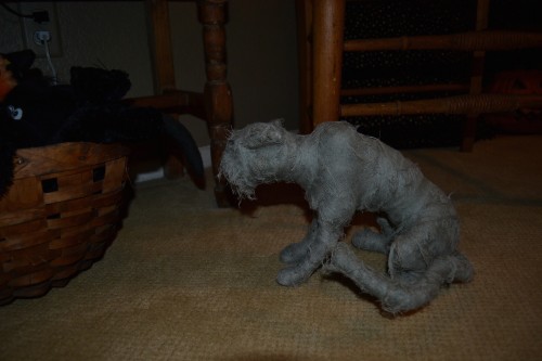 Kitten!!!!! Wait. That's no kitten.