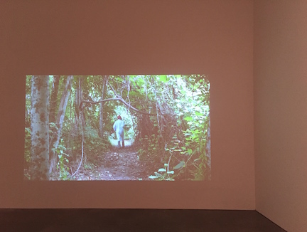 Rodney McMillian, *A Song for Nat* (2012)